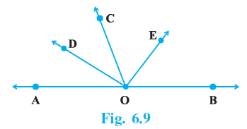 Page 58 Chapter 6 Class 9th NCERT Exemplar